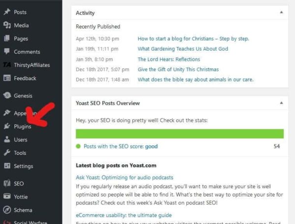 How to install a WordPress plugin manually and update it. | Mind On Jesus